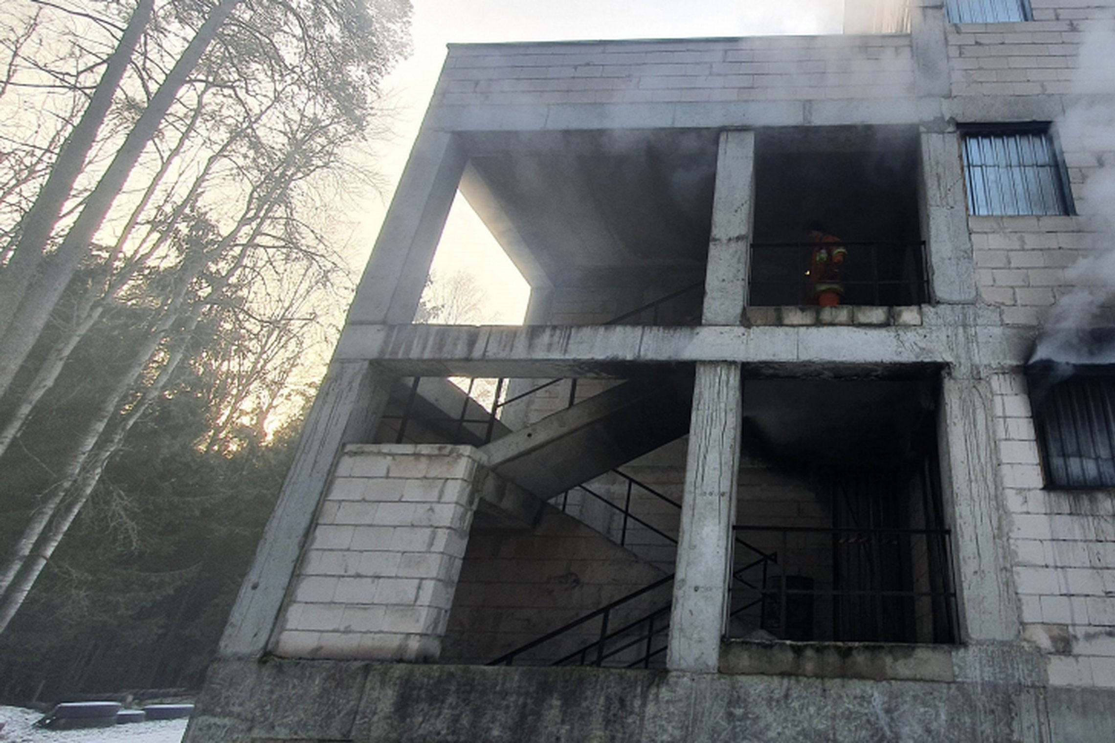 Iliustracija