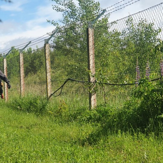 Iliustracija
