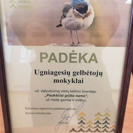Iliustracija