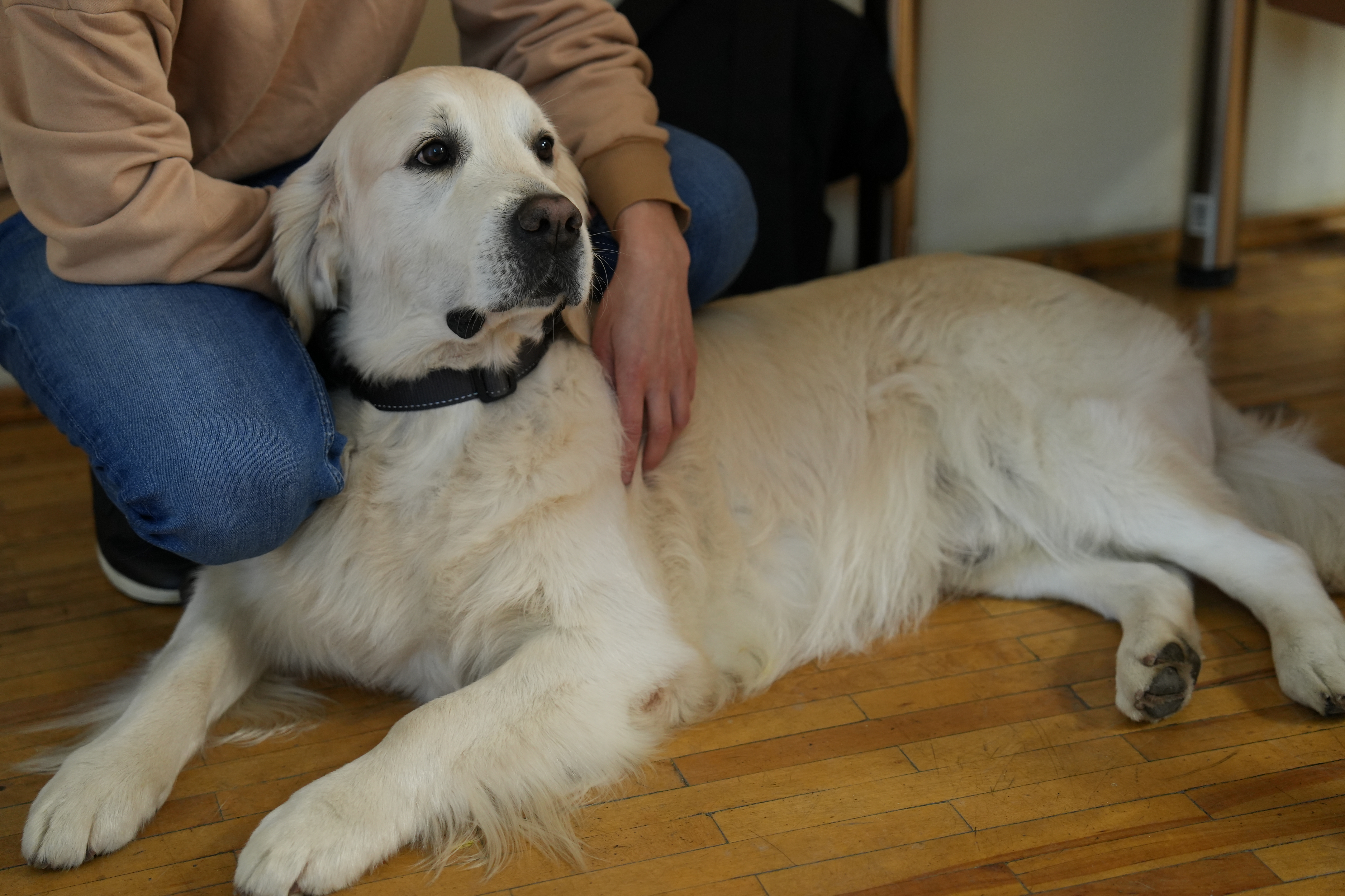 DSC02682.JPG